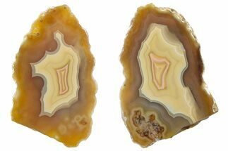 Polished, Banded Bahia Agate Nodule Pair - Brazil #314686