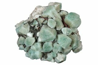 Amazonite Crystal Cluster - Colorado #314756