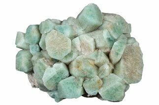 Amazonite Crystal Cluster - Colorado #314757