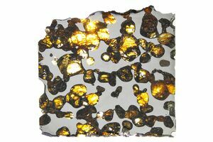 Borzya Pallasite For Sale - FossilEra.com