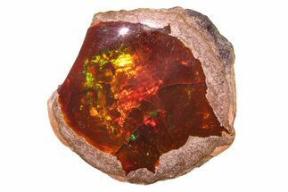 Polished Ethiopian Chocolate Opal Nodule - Yita Ridge #316187