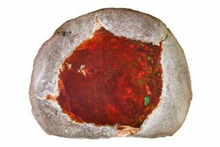 Polished Ethiopian Chocolate Opal Nodule - Yita Ridge #316165
