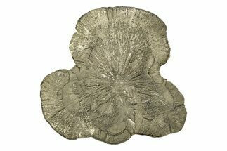 Large, Pyrite Sun - Sparta, Illinois #315848