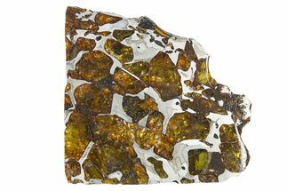Polished Imilac Pallasite Meteorite ( g) Slice #315419