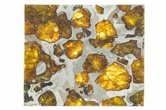Polished Imilac Pallasite Meteorite ( g) Slice #315427
