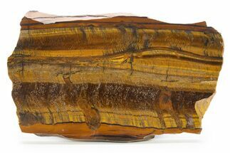 Polished Tiger's Eye Slab - South Africa #316093