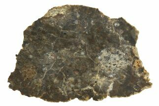 Lunar Meteorite ( g) Thin Slice - NWA #316704