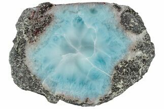 Slice Of Larimar Replaced Wood Limb Cast #316960