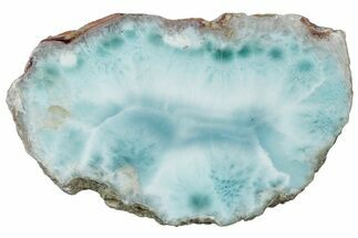 Slice Of Larimar Replaced Wood Limb Cast #316970