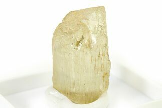 Terminated Yellow Marialite (Scapolite) Crystal - Tanzania #317203