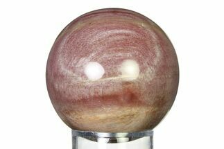 Colorful Petrified Wood (Araucaria) Sphere - Madagascar #317287
