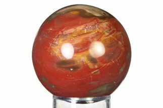 Colorful Petrified Wood (Araucaria) Sphere - Madagascar #317289
