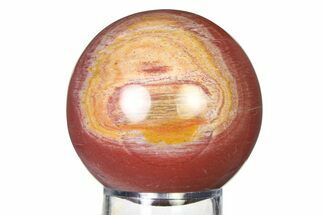 Colorful Petrified Wood (Araucaria) Sphere - Madagascar #317291