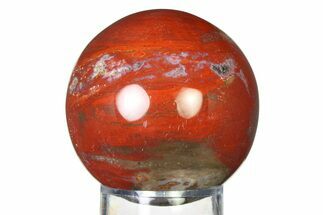 Colorful Petrified Wood (Araucaria) Sphere - Madagascar #317297