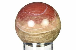 Colorful Petrified Wood (Araucaria) Sphere - Madagascar #317300