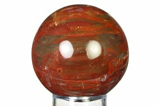 Colorful Petrified Wood (Araucaria) Sphere - Madagascar #317303