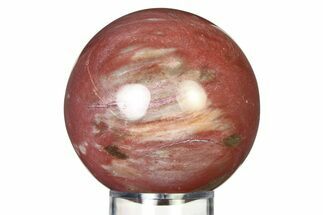 Colorful Petrified Wood (Araucaria) Sphere - Madagascar #317307
