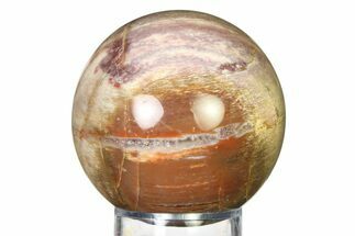 Colorful Petrified Wood (Araucaria) Sphere - Madagascar #317312