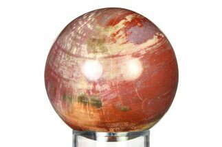 Colorful Petrified Wood (Araucaria) Sphere - Madagascar #317316