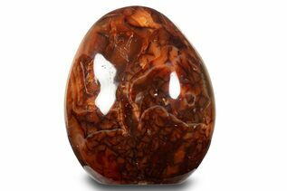 Carnelian Agate For Sale