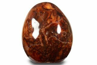 Free-Standing, Polished Carnelian Agate - Madagascar #317556