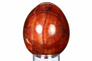 Vibrant Polished Carnelian Agate Egg - Madagascar #318270