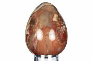 Colorful, Polished Petrified Wood Egg - Madagascar #318342