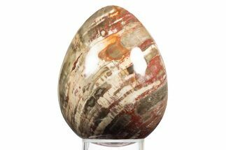 Colorful, Polished Petrified Wood Egg - Madagascar #318353