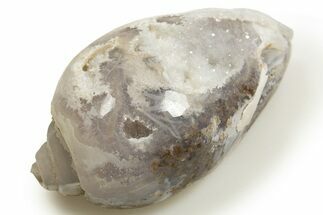 Chalcedony Replaced Gastropod With Sparkly Quartz - India #318704