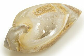 Chalcedony Replaced Gastropod With Sparkly Quartz - India #318720