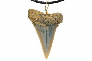 Fossil Mako Shark Tooth Necklace - Bakersfield, California #318837