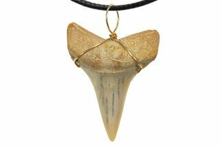 Fossil Mako Shark Tooth Necklace - Bakersfield, California #318838