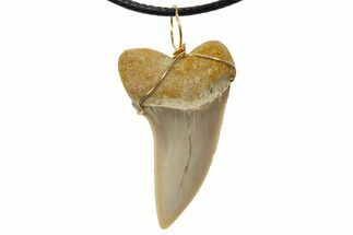 Fossil Hooked White Shark Tooth Necklace - Bakersfield, California #318864