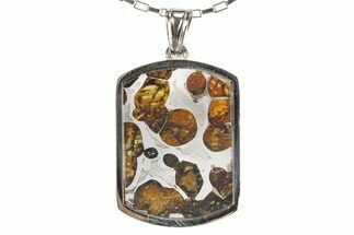 Sericho Pallasite Dog Tag Meteorite Pendant - Kenya #319112