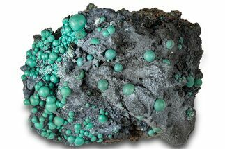 Blue-Green Botryoidal Chrysocolla - Planet Mine, Arizona #318974