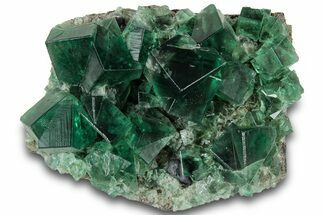 Fluorescent Green Fluorite Cluster - Diana Maria Mine, England #319255