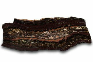 Polished Tiger Iron Stromatolite Slab - Billion Years #319480