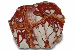 Polished Noreena Jasper Slab - Australia #319530