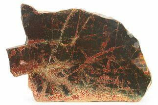 Polished Cherry Creek Jasper - China #318973