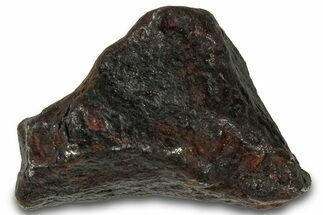 Canyon Diablo Iron Meteorite ( g) - Arizona #319609