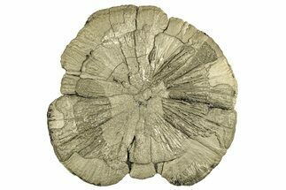 Pyrite Sun - Sparta, Illinois #315883