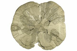 Pyrite Sun - Sparta, Illinois #315888