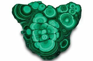 Flowery Polished Malachite Slab - DR Congo #319861