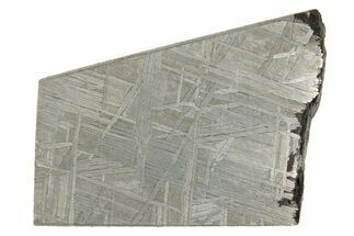Etched Muonionalusta Meteorite Slice ( g) - Sweden #320306