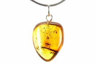 Polished Baltic Amber Pendant (Necklace) - Contains Fly! #321242