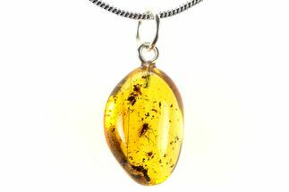 Polished Baltic Amber Pendant (Necklace) - Contains Fly! #321247