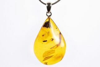 Polished Baltic Amber Pendant (Necklace) - Fly and Beetle! #322020