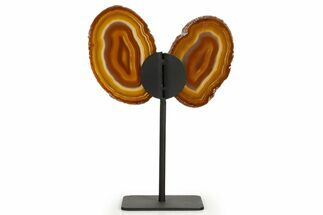 Agate Butterfly Wings - Brazil #322191