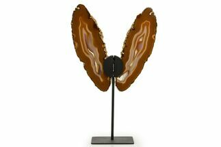 Agate Butterfly Wings - Brazil #322223