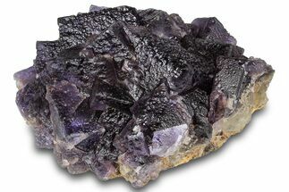 Purple Cubic Fluorite With Fluorescent Phantoms - Cave-In-Rock #322794